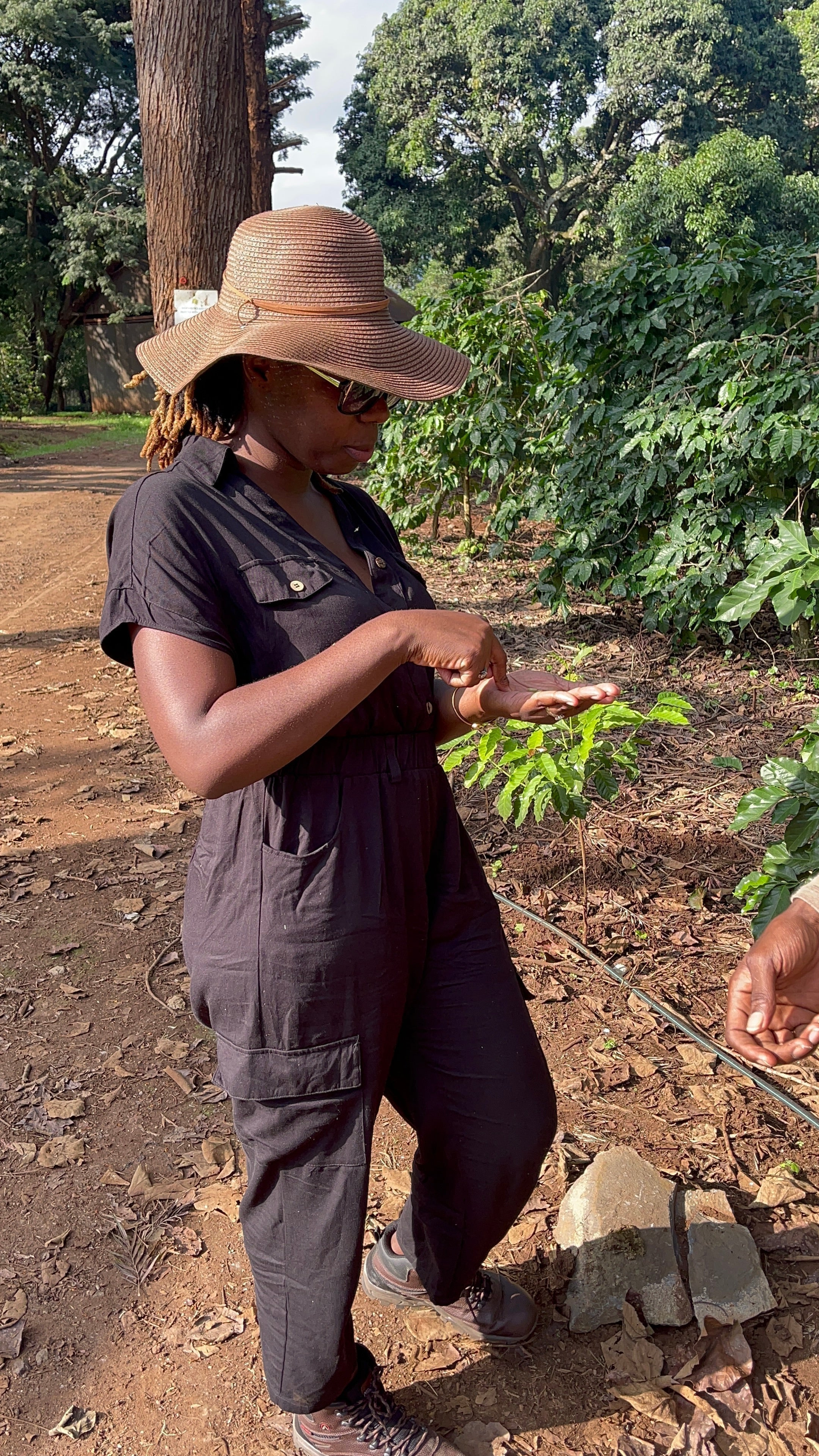 Tanzania is famously known for its 'peaberry' coffee. But what is Peaberry?
