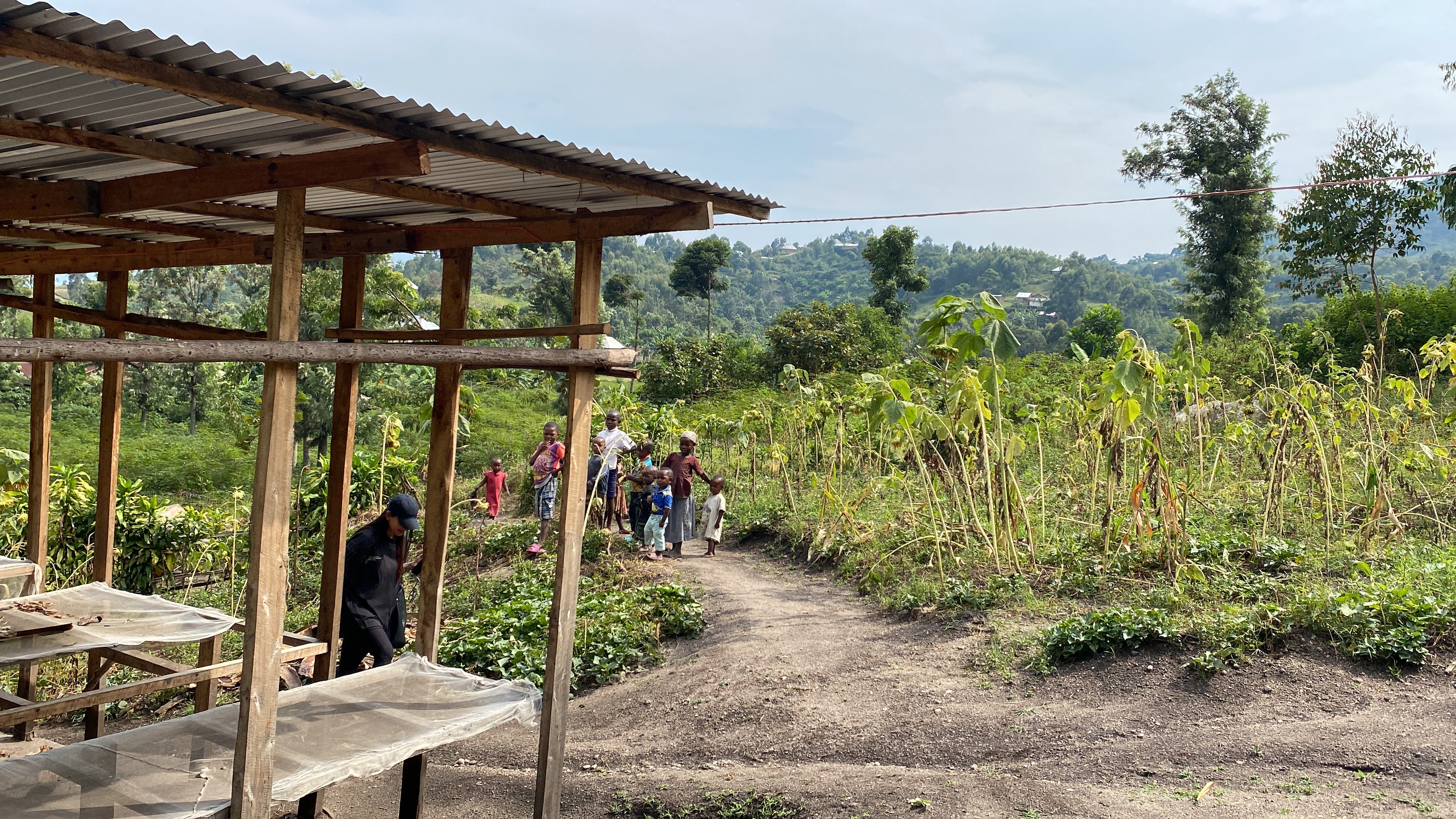 Congo Idjwi Island- NEW