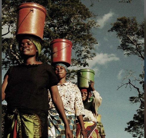 2-pounder Tanzania Coffee