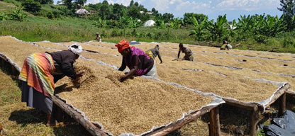 Congo Idjwi Island- NEW