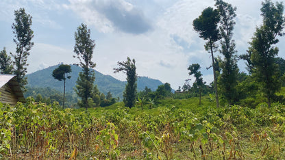 Congo Idjwi Island- NEW